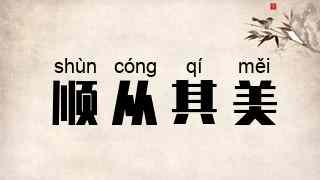 顺从其美