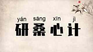 研桑心计