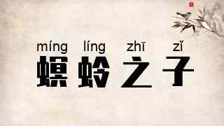 螟蛉之子