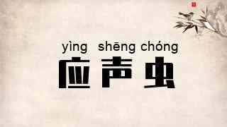 应声虫