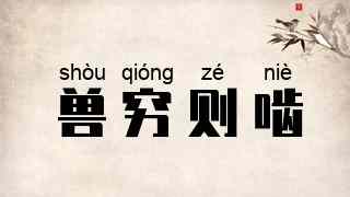 兽穷则啮