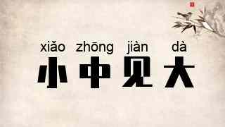 小中见大