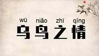 乌鸟之情