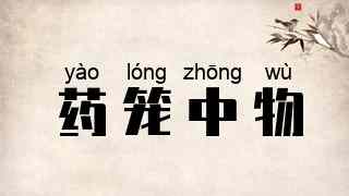 药笼中物