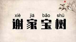 谢家宝树