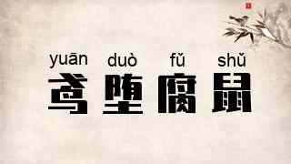 鸢堕腐鼠