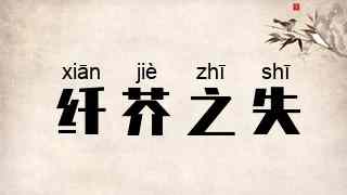 纤芥之失