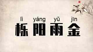 栎阳雨金