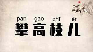 攀高枝儿