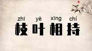 枝叶相持
