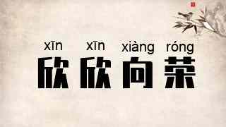 欣欣向荣