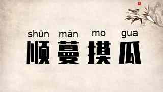 顺蔓摸瓜