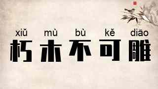 朽木不可雕