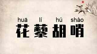 花藜胡哨