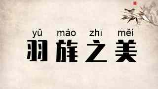 羽旄之美