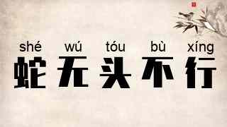 蛇无头不行