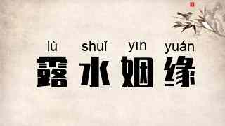 露水姻缘