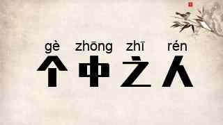 个中之人