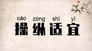 操纵适宜