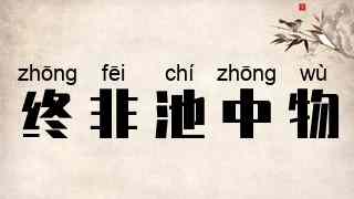 终非池中物