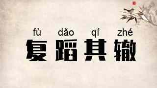 复蹈其辙
