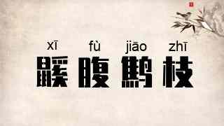 鼷腹鹪枝