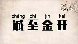诚至金开