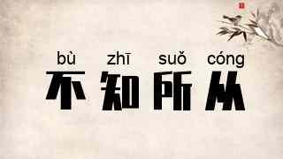 不知所从