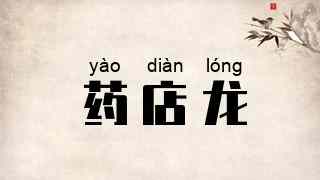 药店龙