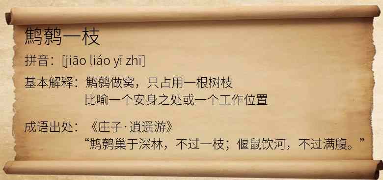 鹪鹩一枝