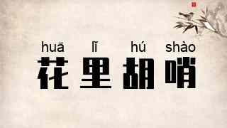 花里胡哨