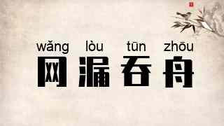 网漏吞舟