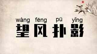 望风扑影