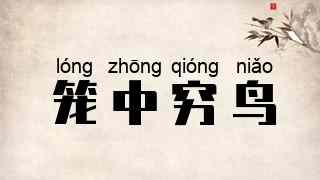 笼中穷鸟