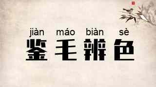 鉴毛辨色