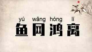 鱼网鸿离