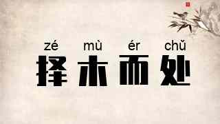 择木而处