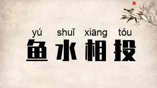 鱼水相投