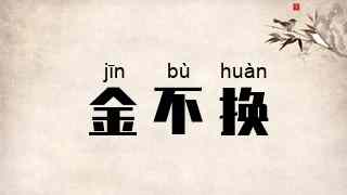 金不换