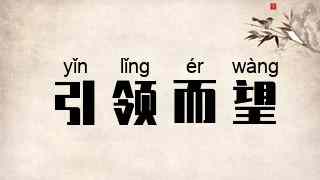 引领而望