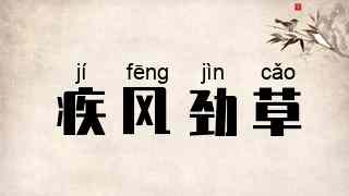 疾风劲草