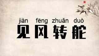 见风转舵