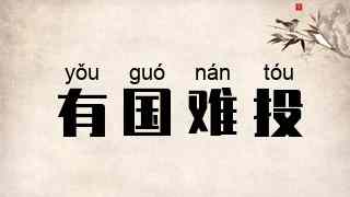 有国难投