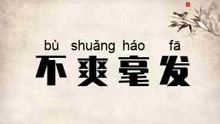 不爽毫发