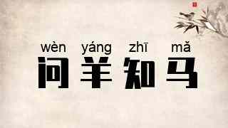 问羊知马