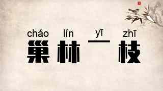 巢林一枝