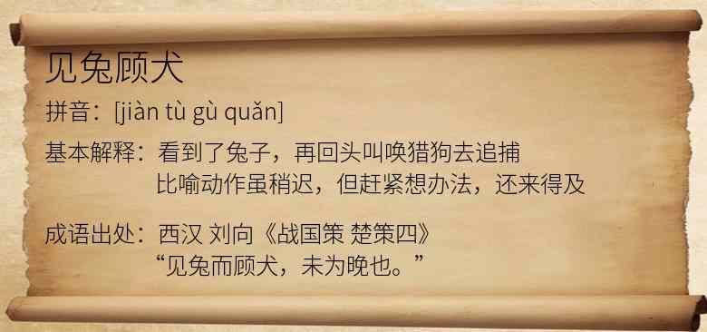 见兔顾犬