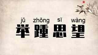 举踵思望