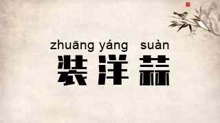 装洋蒜
