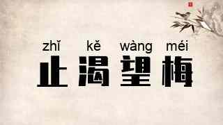 止渴望梅